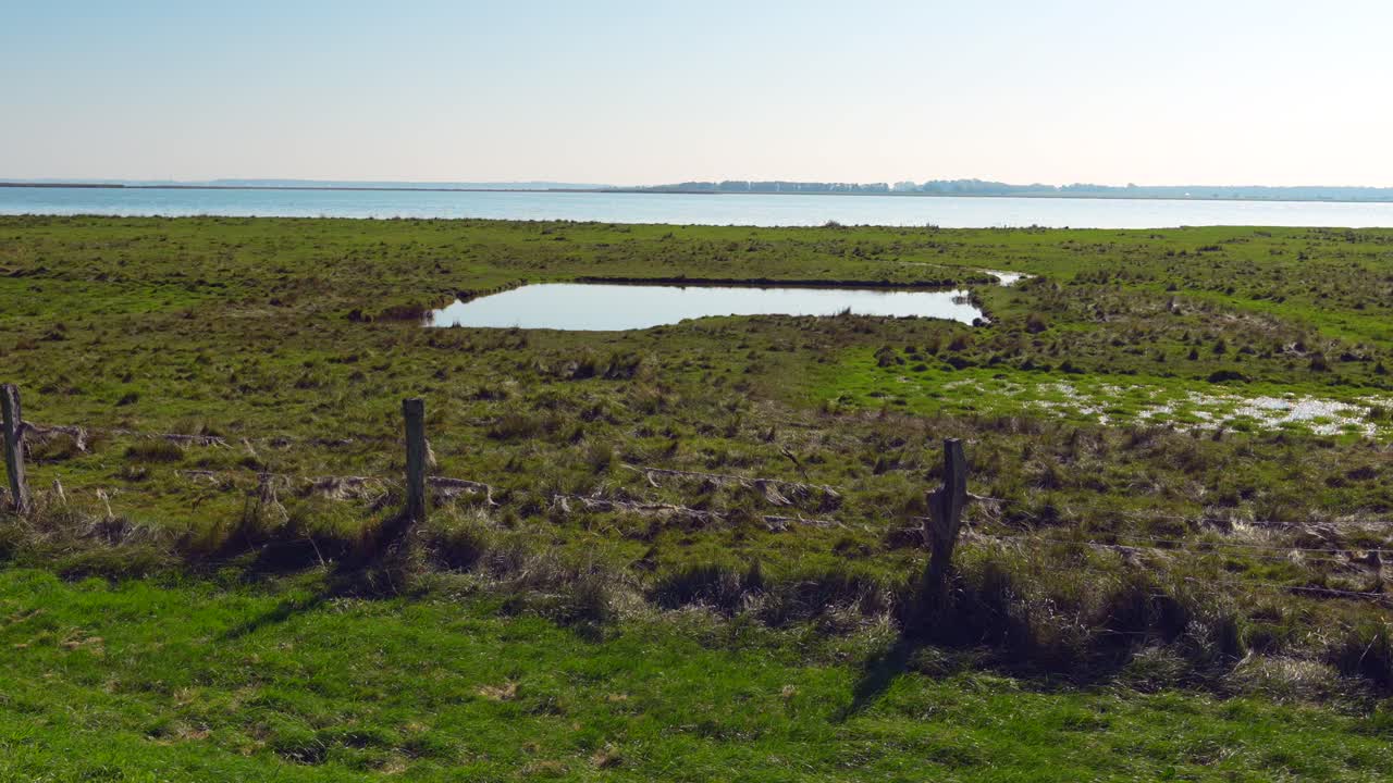 green moor on a sunny day with fence in the foreground 4k 60fps slow motion