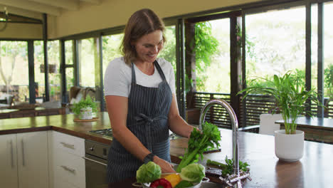 happy caucasian pregnant woman wearing apron and washing vegetables in kitchen