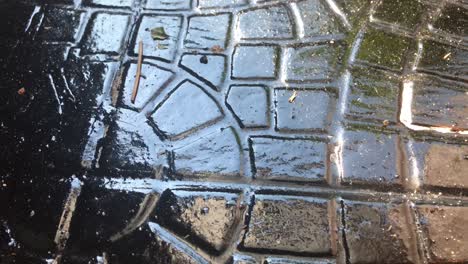 mosaico negro y moderno