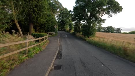 a peaceful drive along a rural road