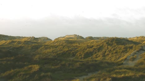 Serie-of-shots-windy-Winter-holliday-in-the-Netherlands-on-the-Dutch-Beach-Island-Terschelling