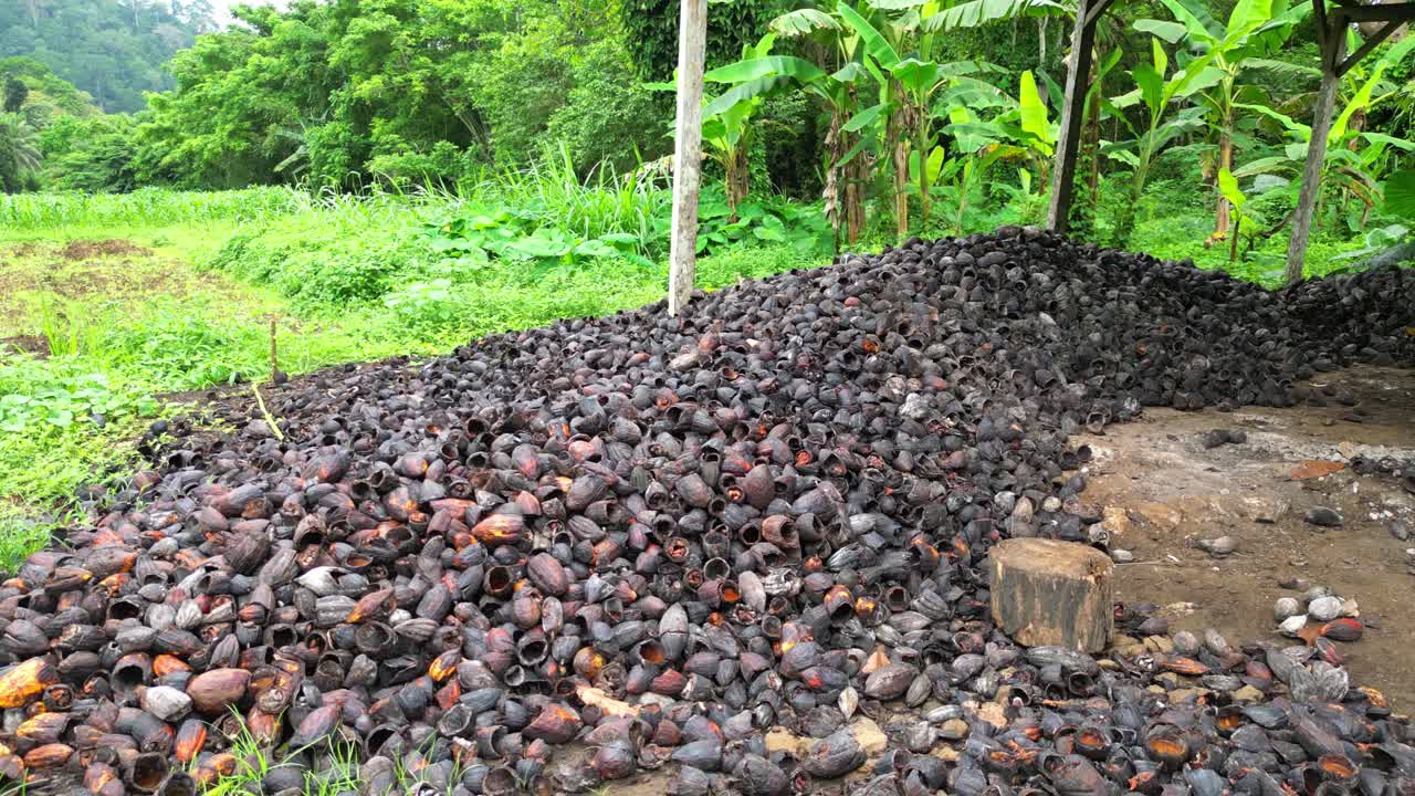 Aerial view of coconut husk used as organic fertilizer to nourish cocoa, coconut, and other crops, especially during their early growth stages. São Tomé,Africa