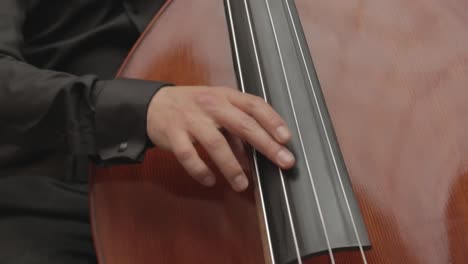 musician playing double bass music instrument, close up of fingers plucking the strings