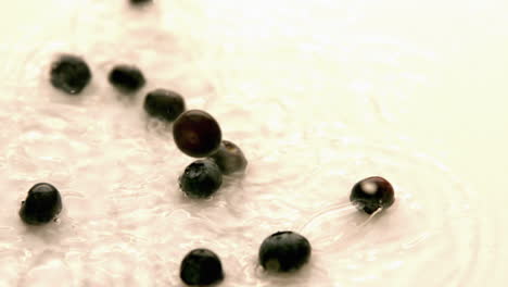 Blueberries falling and bouncing on white wet surface