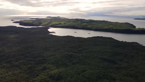 Vista-Aérea-De-Toda-La-Isla-Motutapu,-Pastos-Verdes-De-Una-Granja-Ecológica