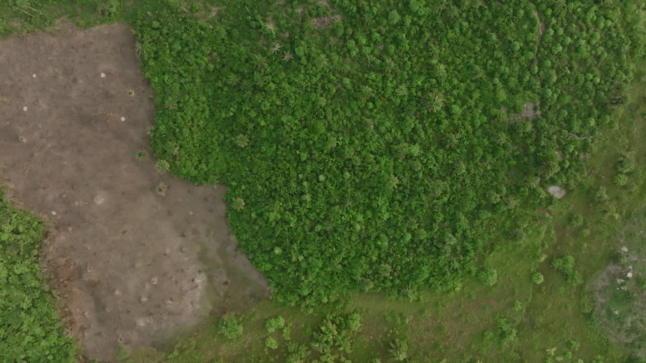 Filmación aérea cenital de zonas quemadas en el bosque y la selva en las áreas rurales de Sierra Leona donde la gente quema para producir carbón.
