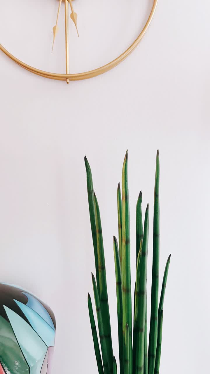 Arredamento moderno per la casa con Sansevieria e orologio dorato