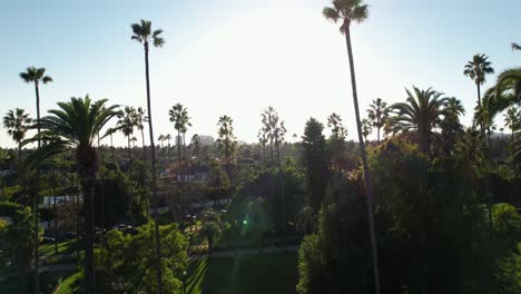will rogers memorial park, palm trees, and the city skyline on a bright, sunny day - ascending aerial view