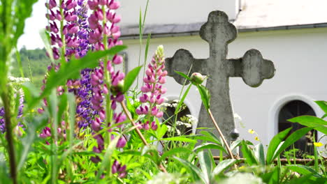 a cross behind wildflowers in the cemetery, near the church