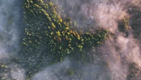 overhead view from high above the epic fog and trees with sprinkles of fall foliage