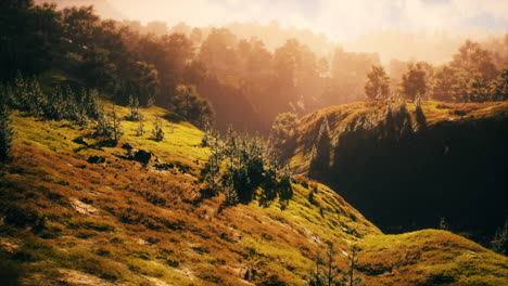 Sunset-in-mountain-with-green-grass-and-trees