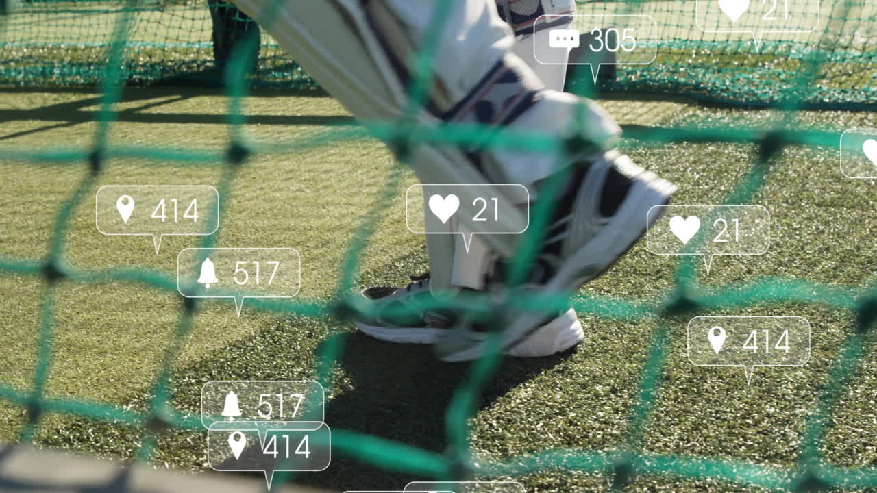 현장에서 크리켓 선수에 대한 디지털 데이터 처리의 애니메이션