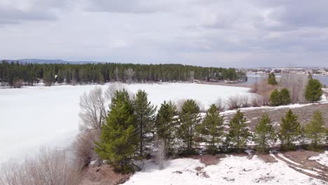 flotando sobre los pinos aéreos no tripulados del invierno que muestran las casas de vacaciones alrededor del embalse de island park en island park idaho