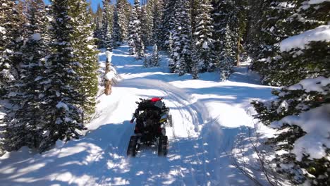 Excelente-Vista-Aérea-De-Buggies-De-Nieve-Conduciendo-A-Través-De-Un-Sendero-De-Montaña-Invernal,-Bordeado-De-Pinos