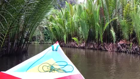 the boat sails on the river through the mangrove forest