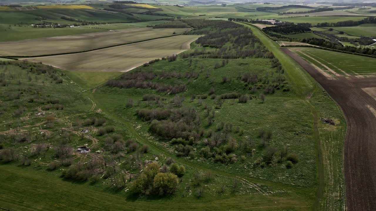 Breathtaking drone video of South Downs National Park in England captures sweeping, lush landscapes. Aerial footage showcases vibrant greenery under soft daylight, highlighting nature's beauty