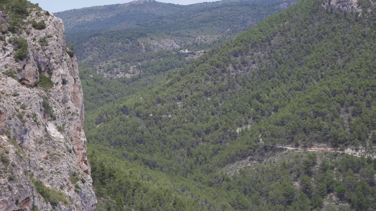 buitres sobrevolando valles boscosos junto a un acantilado, valencia, españa