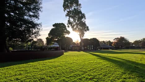 sunset view of a grassy park area