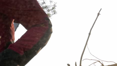 Chainsaw-cuts-limber,-close-up-from-low-angle-view-slow-motion