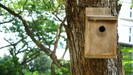 Ein-Bienenhotel,-Insektenhotel-Am-Baum,