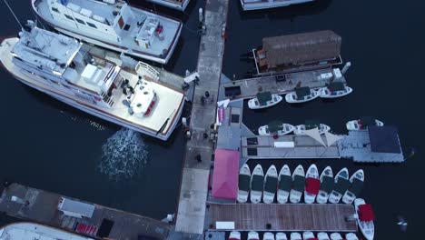 Early-Morning-Drone-Shot-HM-Landing-San-Diego