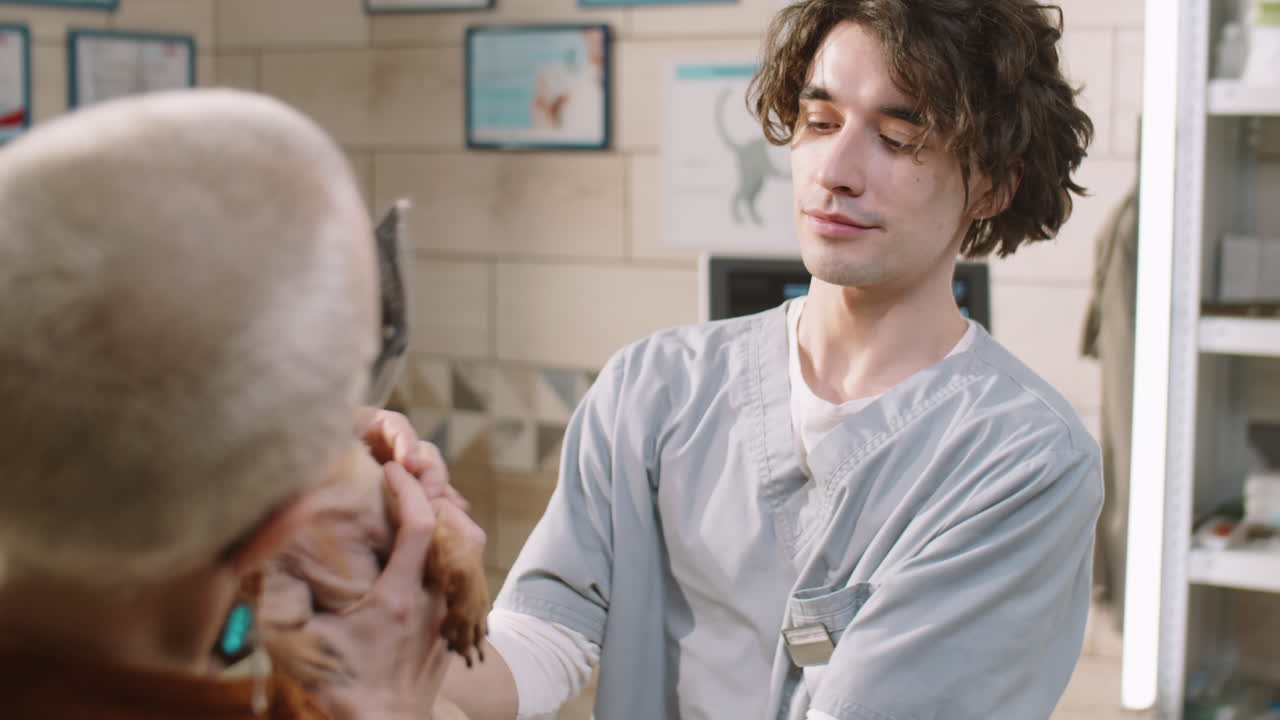 ветеринарный врач дает собаке в электронном ошейнике владельцу во время консультации