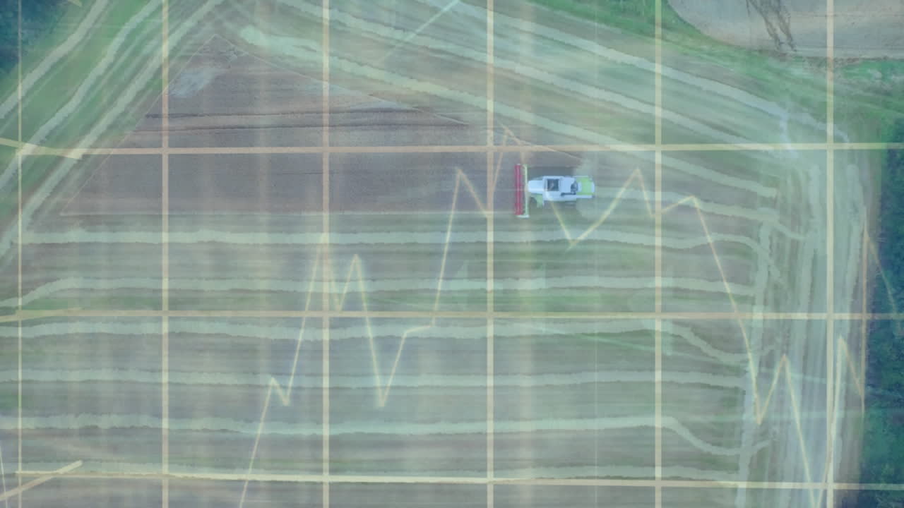 다른 그래프와 필드