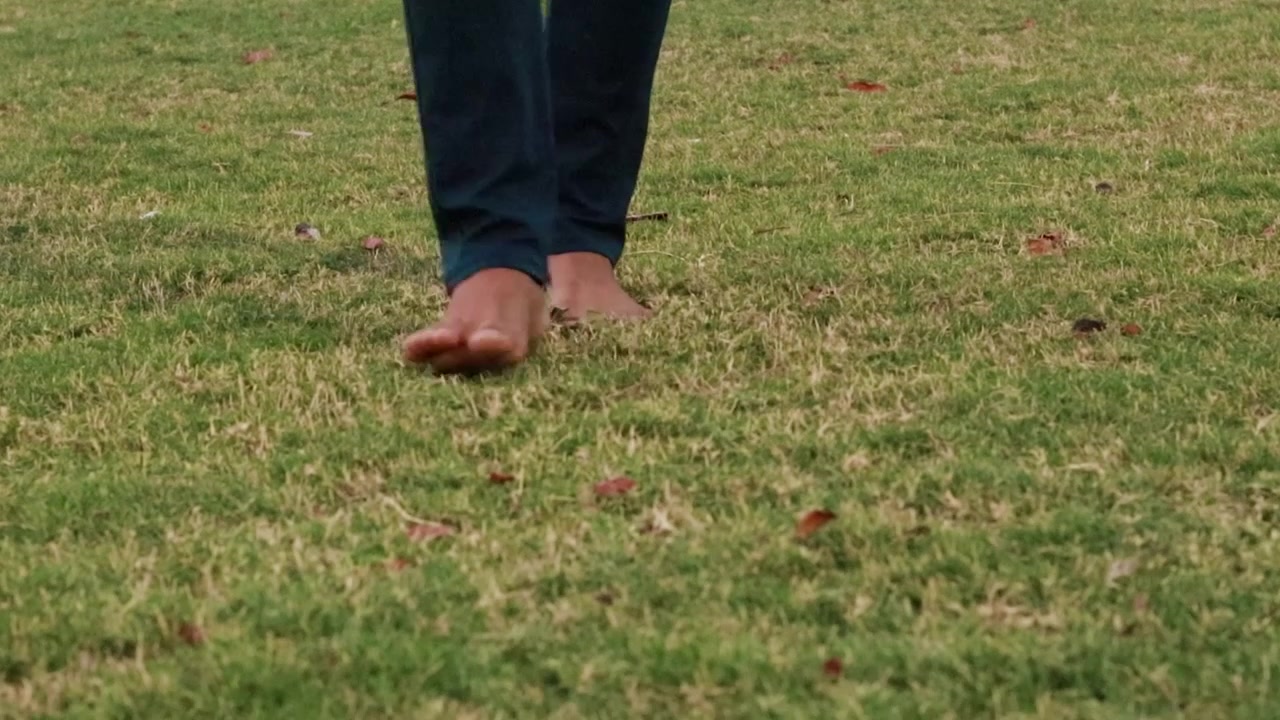 young man walking at green grass at garden at evening
