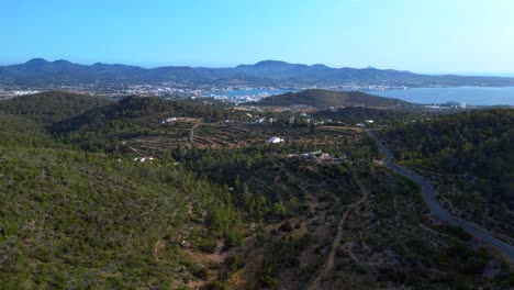 Road winding through a vibrant green forest in Ibiza, Spain, leading down towards the beautiful San Antonio Bay. Smooth aerial view flight drone shot footage from above
