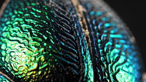 macro view of an iridescent beetle's exoskeleton