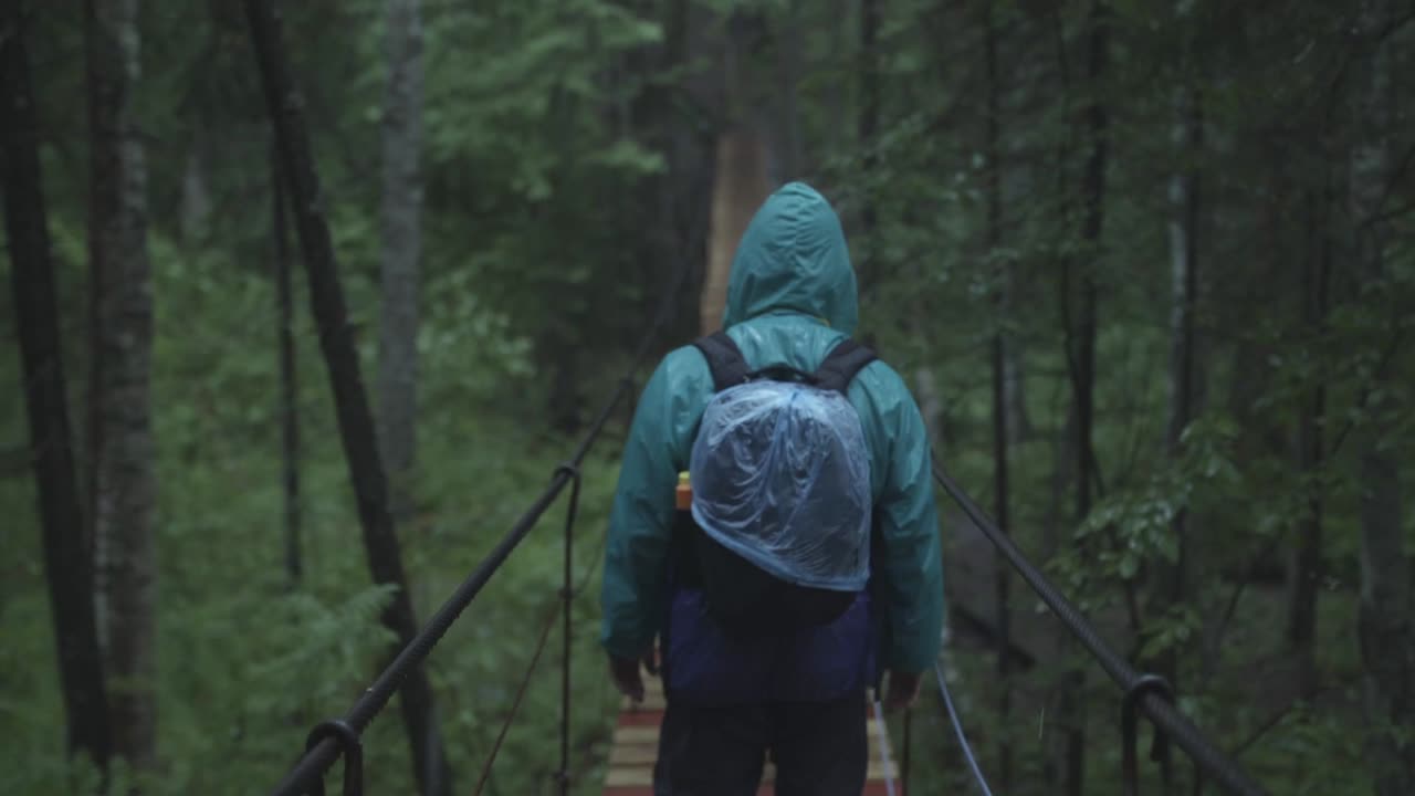 persona caminando en un puente de madera en un bosque lluvioso