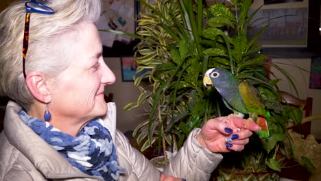 mature woman talking to her pionus parrot - close, tight shot