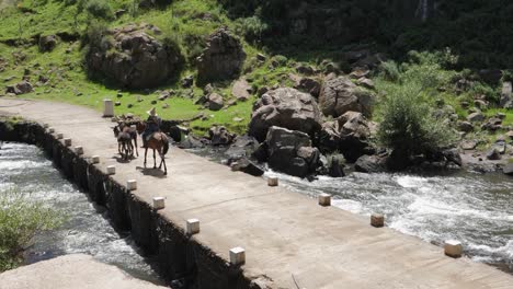 indigenous lesotho man in pointy hat trots across bridge with mules