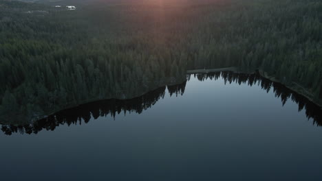 Exuberante-Bosque-Verde-Alrededor-Del-Lago-Durante-El-Amanecer