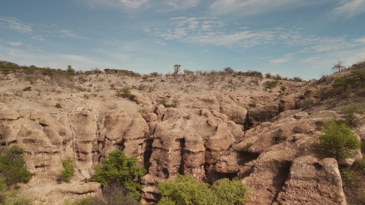 Arid Landscape with Rocky Canyon and Sparse Vegetation