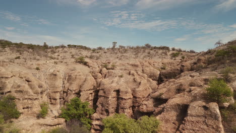 arid landscape with rocky canyon and sparse vegetation