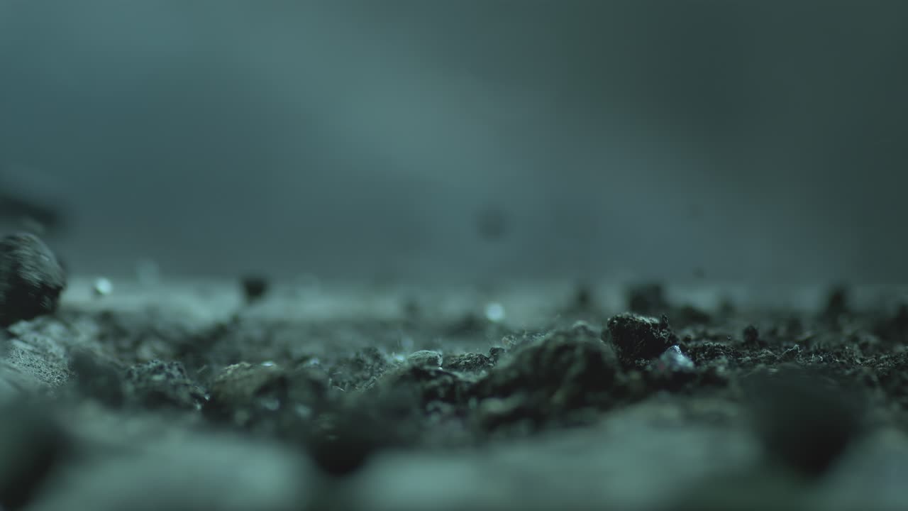 Smoke And Ash Blowing In The Wind