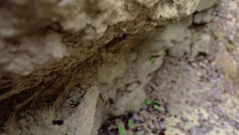 water drips from rock slow motion push in 4k