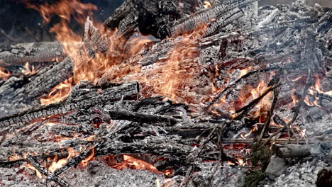 close up tilt up of burning brush pile