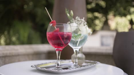 two elegant cocktails on silver tray, red drink with garnish and blue drink with mint and white flowers