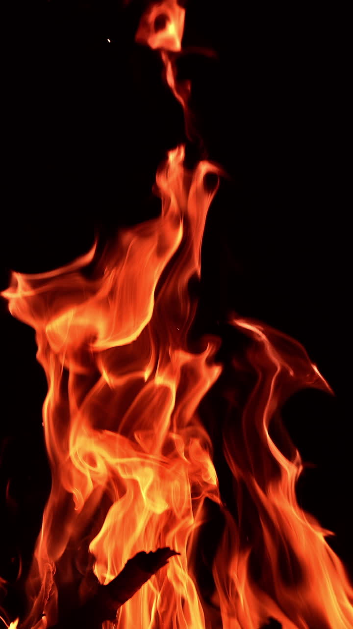 Beautiful cozy campfire burning in absolute darkness. Long tongues of flame rising into air. Vertical video