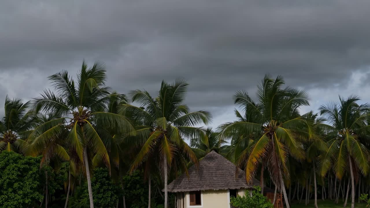 Lush tropical scene transitions from dark clouds to a serene hut surrounded by vibrant palm trees, capturing the essence of nature's beauty and tranquility