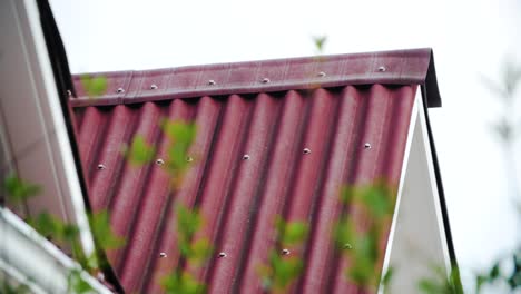 close-up view of a red corrugated metal roof