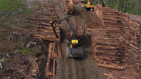 forestry economics unveiled: forwarder stockpiling log