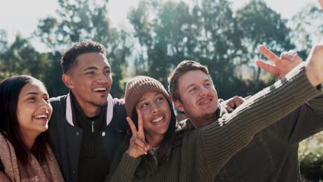 happy people, friends and peace sign in nature