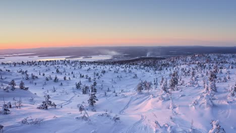 Aerial-View-Of-Snowy-Slope-Of-Mountain-With-Snow-Covered-Coniferous-Trees