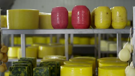 variety of cheeses in a cheese factory