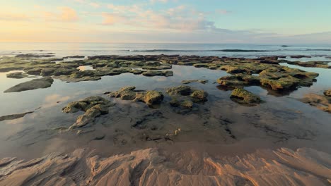 Camera-trucking-left-on-mossy-shore,-shallow-sea