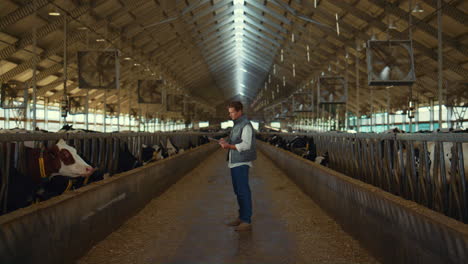 business owner inspecting livestock facility. modern cowshed building interior.