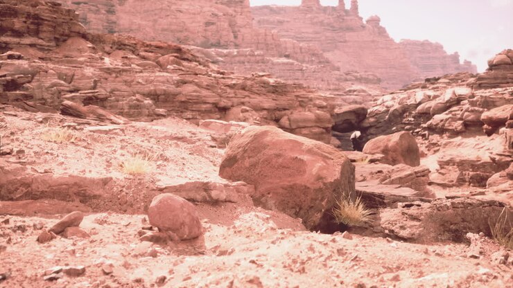 Paesaggio del Red Rock Canyon